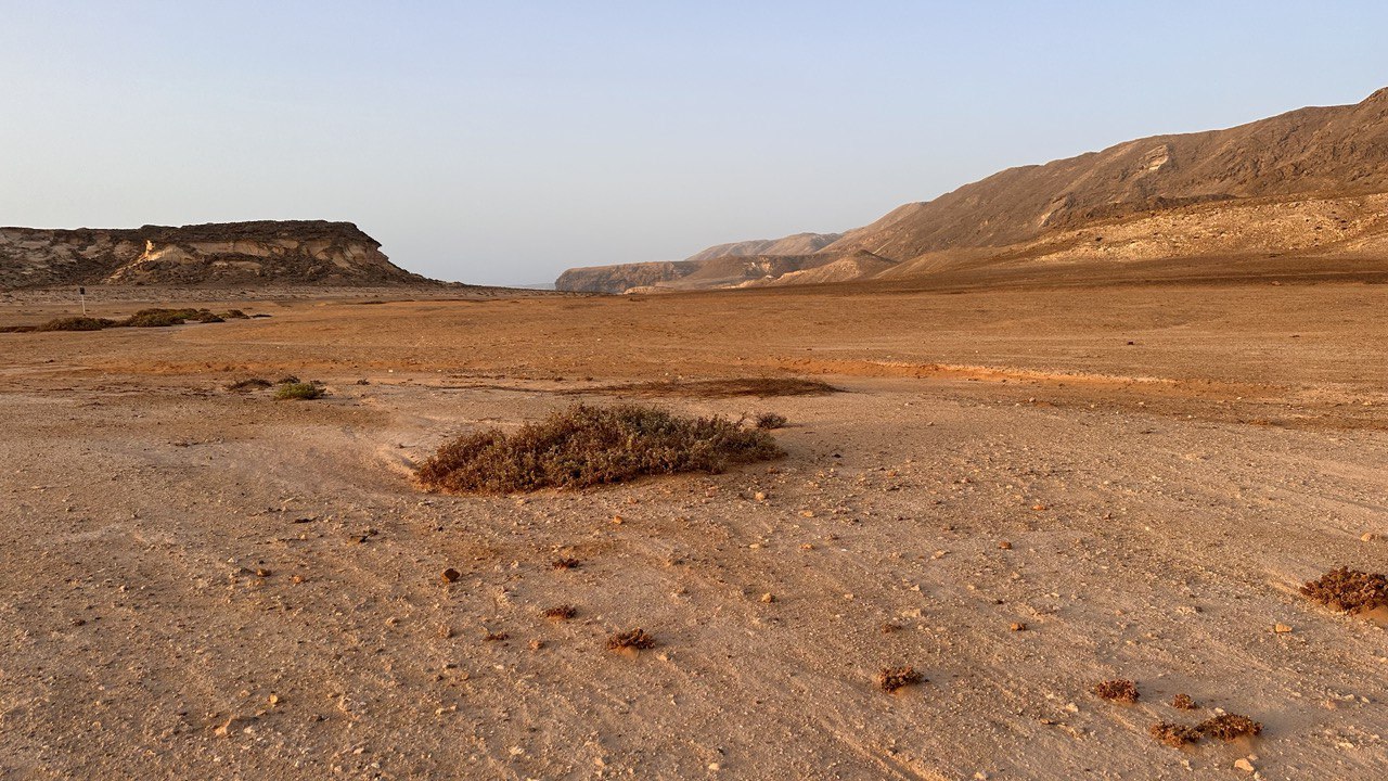 OMAN – The Desert Rose