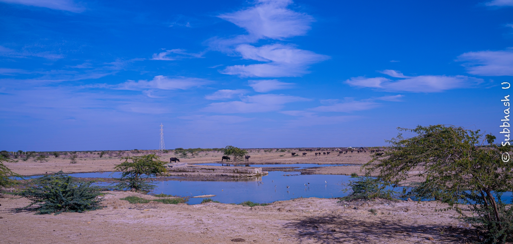 A Picturesque village enroute to Kutch, Gujarat 