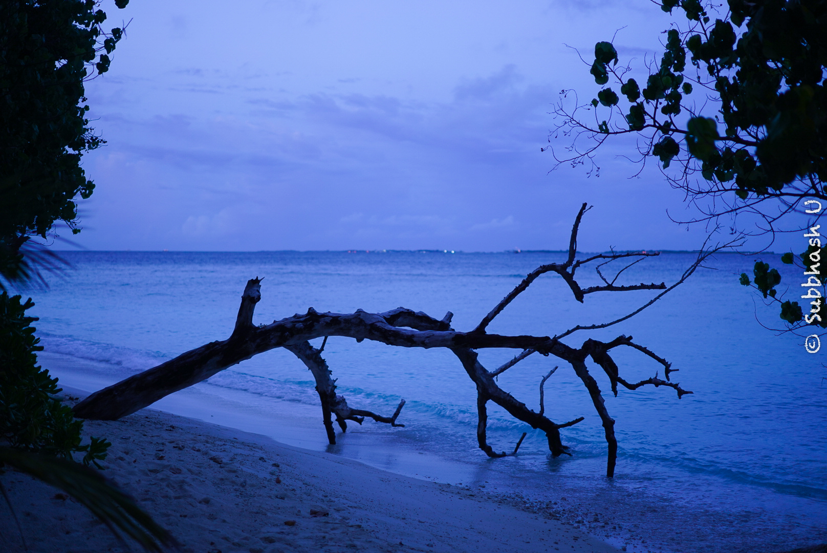 Blue is Beautiful in Maldives.